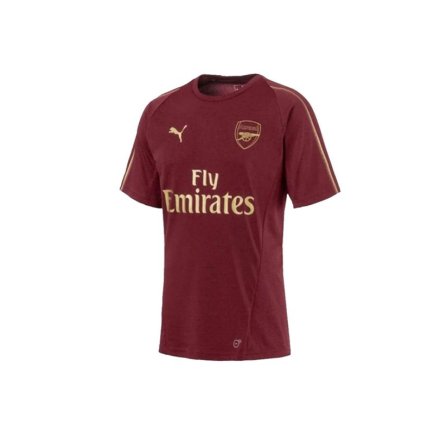 Футболка спортивная Puma Arsenal FC Training Tee M 753265 03