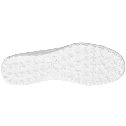 Сороконіжки Puma King Pro TT M 105668-02