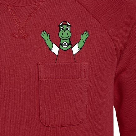 Толстовка Adidas Arsenal FC Kids Crew Sweat GR4218 - Официальная Продукция