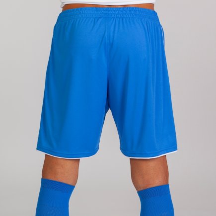 Шорты Joma LIGA 101324.702 цвет: синий