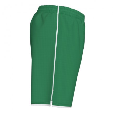 Шорти Joma LIGA 101324.452 колір: зелений