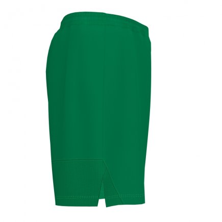 Шорты Joma PERFORMANCE MULTISPORT 101958.450 цвет: зеленый