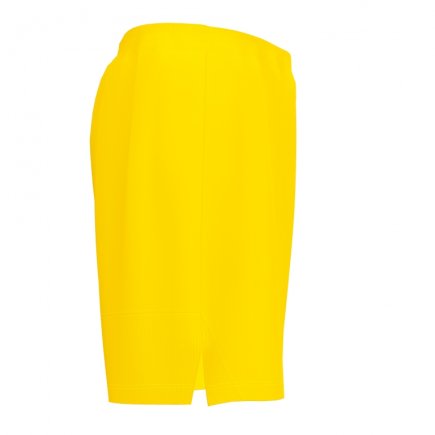 Шорты Joma PERFORMANCE MULTISPORT 101958.900 цвет: желтый