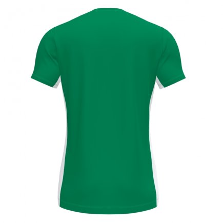 Футболка Joma Cosenza 101659.452 колір: зелений/білий