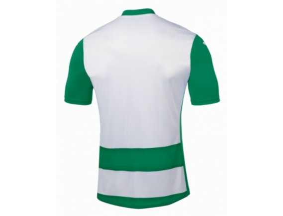 Футболка игровая Joma Europa III 100405.450 зелено-белая