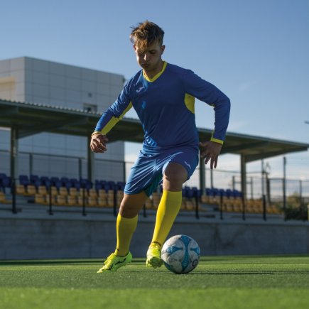 Футболка игровая Joma Champion IV 100779.709 цвет: голубой