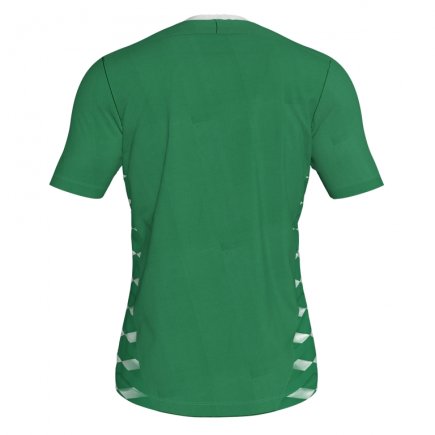 Футболка ігрова Joma MYSKIN II 101289.452 колір: зелений