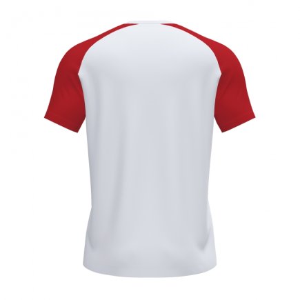 Футболка игровая Joma ACADEMY IV 101968.206 цвет: белый/красный