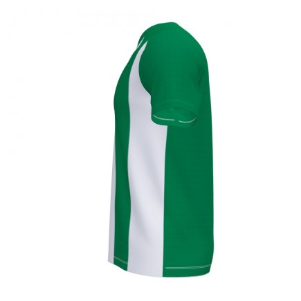 Футболка игровая Joma PISA II 102243.452 цвет: зеленый/белый
