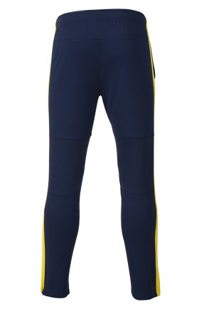 Штани тренувальні Joma збірної України FFU310011B17 колір: темно-синій