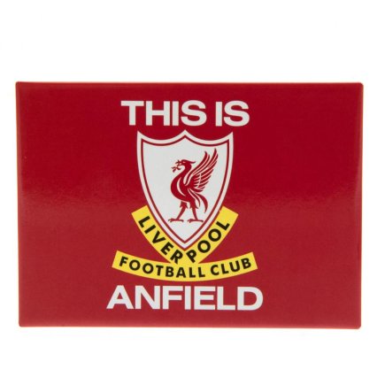 Набор магнитов на холодильник Liverpool FC