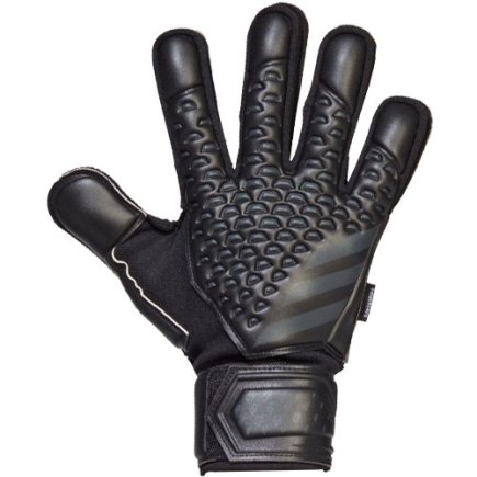 Воротарські рукавиці Adidas Predator GL MTC FS HY4076