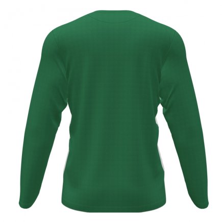 Футболка Joma PERFORMANCE PISA II 102521.452 колір: зелений/білий