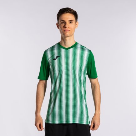 Футболка Joma PERFORMANCE INTER II 102807.452 колір: зелений/білий