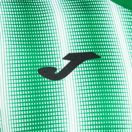 Футболка Joma PERFORMANCE INTER II 102807.452 колір: зелений/білий