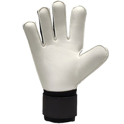 Вратарские перчатки UHLSPORT PURE ALLIANCE SOFT PRO 1011172022020