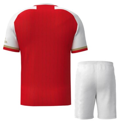 Новая Футбольная форма Arsenal (Арсенал, Лондон) 2023-2024 игровая/повседневная 11224102 цвет: красный