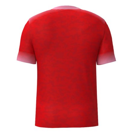 Футболка вратаря игровая SECO Girona GK 23224202 цвет: красный