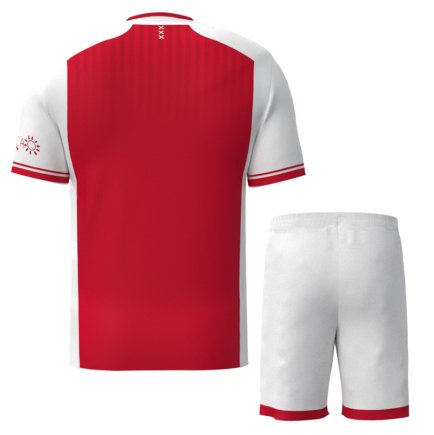 Новая Футбольная форма Ajax (Аякс) 2023-2024 игровая/повседневная 12221202 цвет: красный