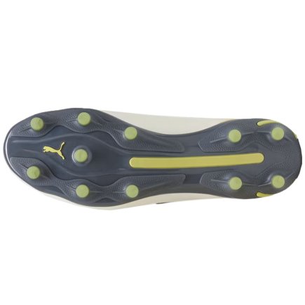 Бутсы Puma King Ultimate FG/AG 107563 05