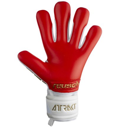 Воротарські рукавички Reusch Attrakt Freegel Silver 5370235 1011