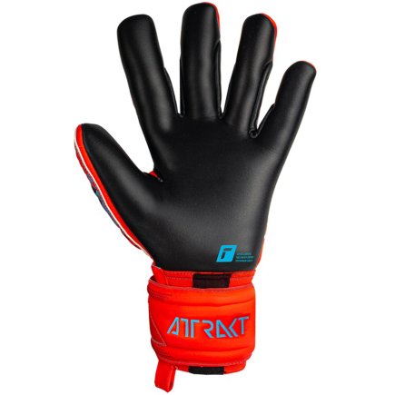 Воротарські рукавички Reusch Attrakt Gold X 5370945 3333