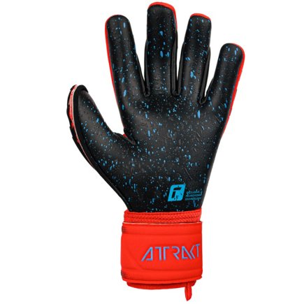 Воротарські рукавички Reusch Attrakt Freegel Fusion Goaliator 5370995 3333