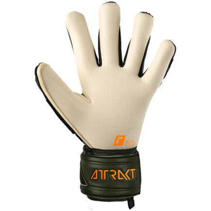 Вратарские перчатки Reusch Attrakt Freegel Gold X 5370935 5556