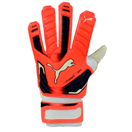 Вратарские перчатки Puma Evo Power Grip 2 Aqua 041145 30
