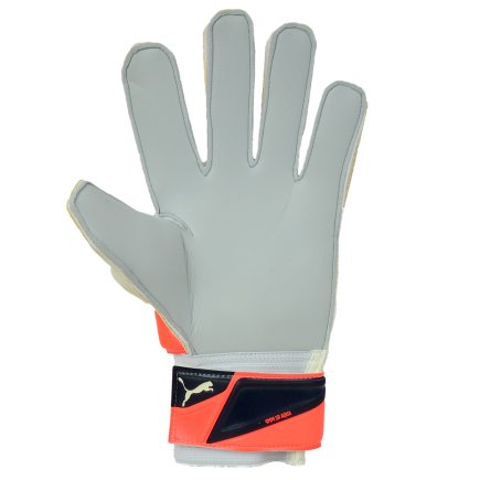 Вратарские перчатки Puma Evo Power Grip 2 Aqua 041145 30