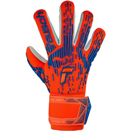 Вратарские перчатки Reusch Attrakt Freegel Silver 5470235 2210
