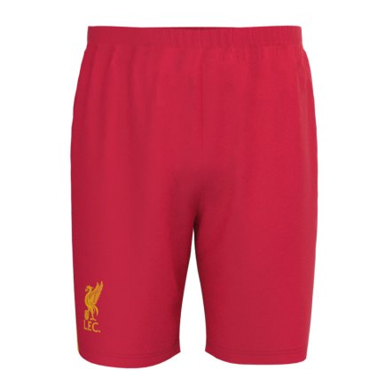 Футбольная форма Ливерпуль Луис Диас 7 (Liverpool Luis Diaz 7) 2024-2025 игровая/повседневная 15220402 цвет: красный