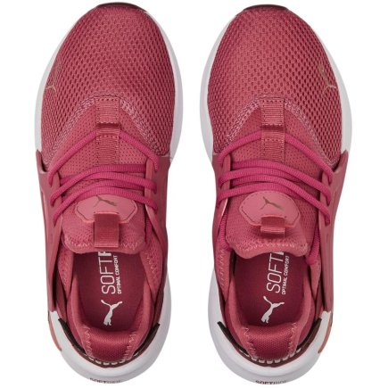 Кроссовки Puma Softride Enzo Evo 377048 05  женские