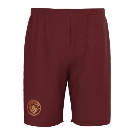 Футбольная форма Manchester City (Манчестер Сити, Ман Сити) 2023-2024 игровая/повседневная 12229616 цвет: бордовый