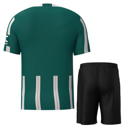 Футбольна форма Manchester United (Манчестер Юнайтед) 2023-2024 ігрова/повсякденна 13221107 колiр: зелений