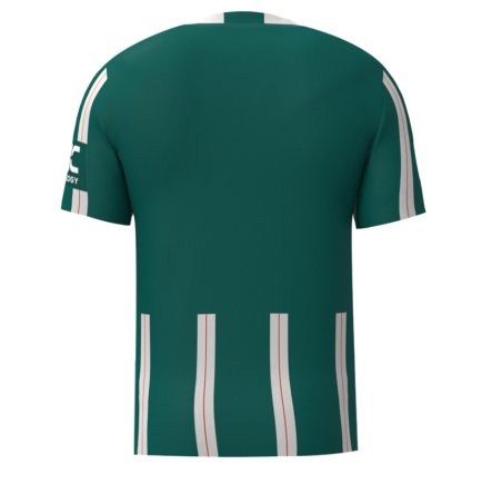 Футбольна форма Manchester United (Манчестер Юнайтед) 2023-2024 ігрова/повсякденна 13221107 колiр: зелений