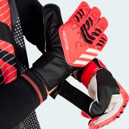 Воротарські рукавиці Adidas Predator Training JH3805 - Офіційна Продукція
