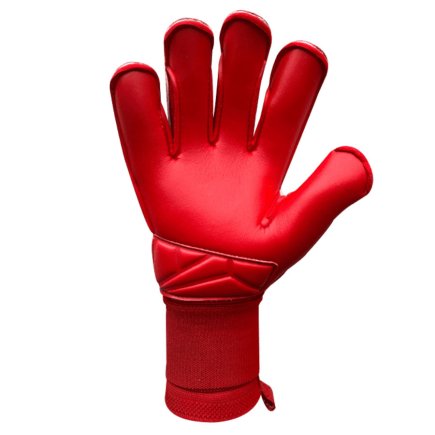 Вратарские перчатки 4Keepers FORCE  V4.23 HB S874876