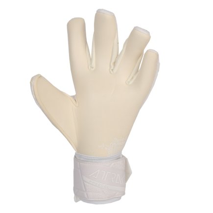 Вратарские перчатки Reusch Attrakt  Freegel Gold X 54 70 036 1100