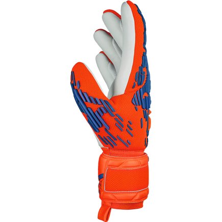 Воротарські рукавиці Reusch Attrakt Freegel Silver 54 70 235 2210