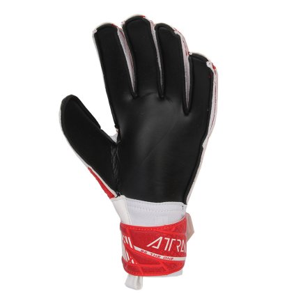 Вратарские перчатки Reusch Attrakt Solid 54 70 016 8905