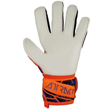 Вратарские перчатки Reusch Attrakt Solid 54 70 515 2210