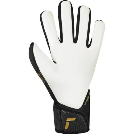 Воротарські рукавиці Reusch Fastgrip Silver 55 70 700 7707