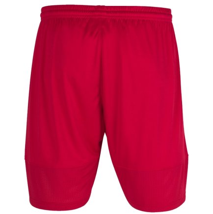 Шорты Joma PERFORMANCE MULTISPORT 101958.600 цвет: красный