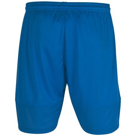 Шорты Joma PERFORMANCE MULTISPORT 101958.700 цвет: голубой