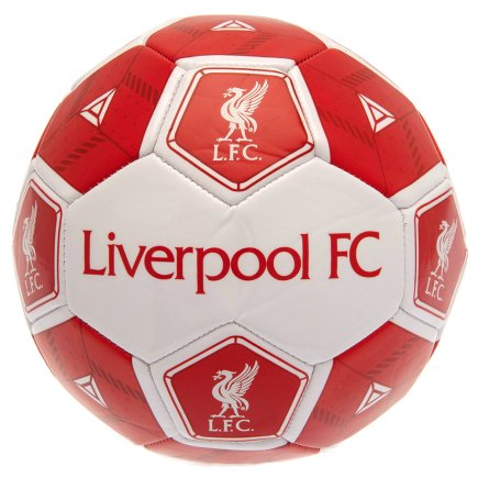 Мяч футбольный Liverpool FC Ливерпуль ФК размер 3