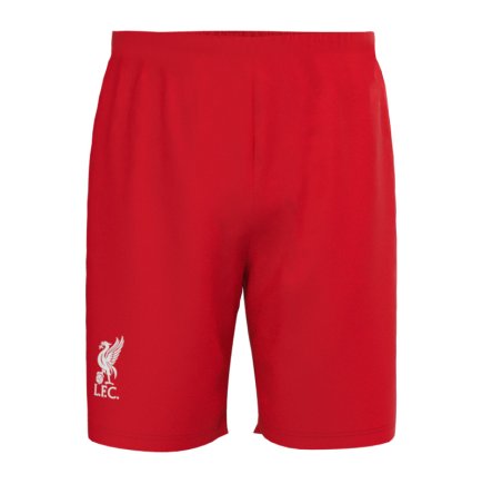 Новая Футбольная форма Liverpool (Ливерпуль) 2025-2026 игровая/повседневная 16250102 цвет: красный
