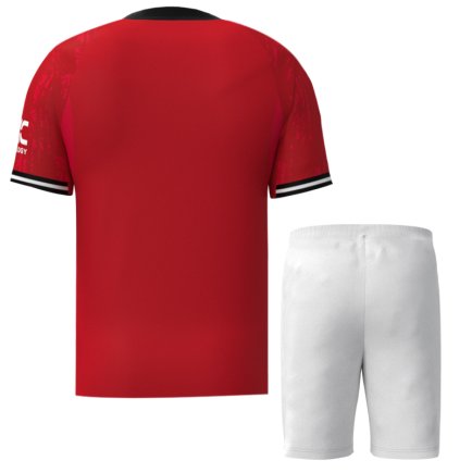 Новая Футбольная форма Manchester United (Манчестер Юнайтед) 2025-2026 игровая/повседневная 16251902 цвет: красный
