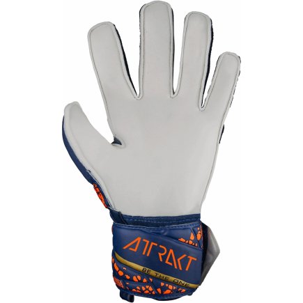 Вратарские перчатки Reusch Attrak Solid 5470515 4410