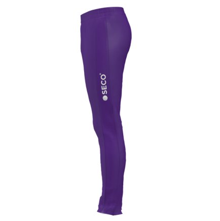 Штаны спортивные SECO Reflex II 25250408 цвет: фиолетовый